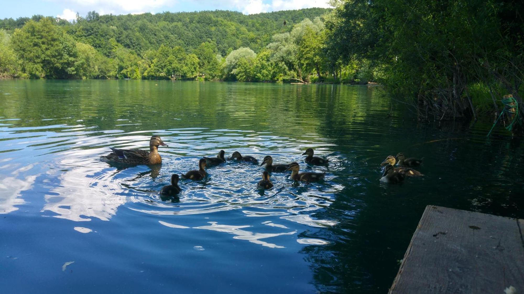 Fortuna Holiday Home Bihać エクステリア 写真