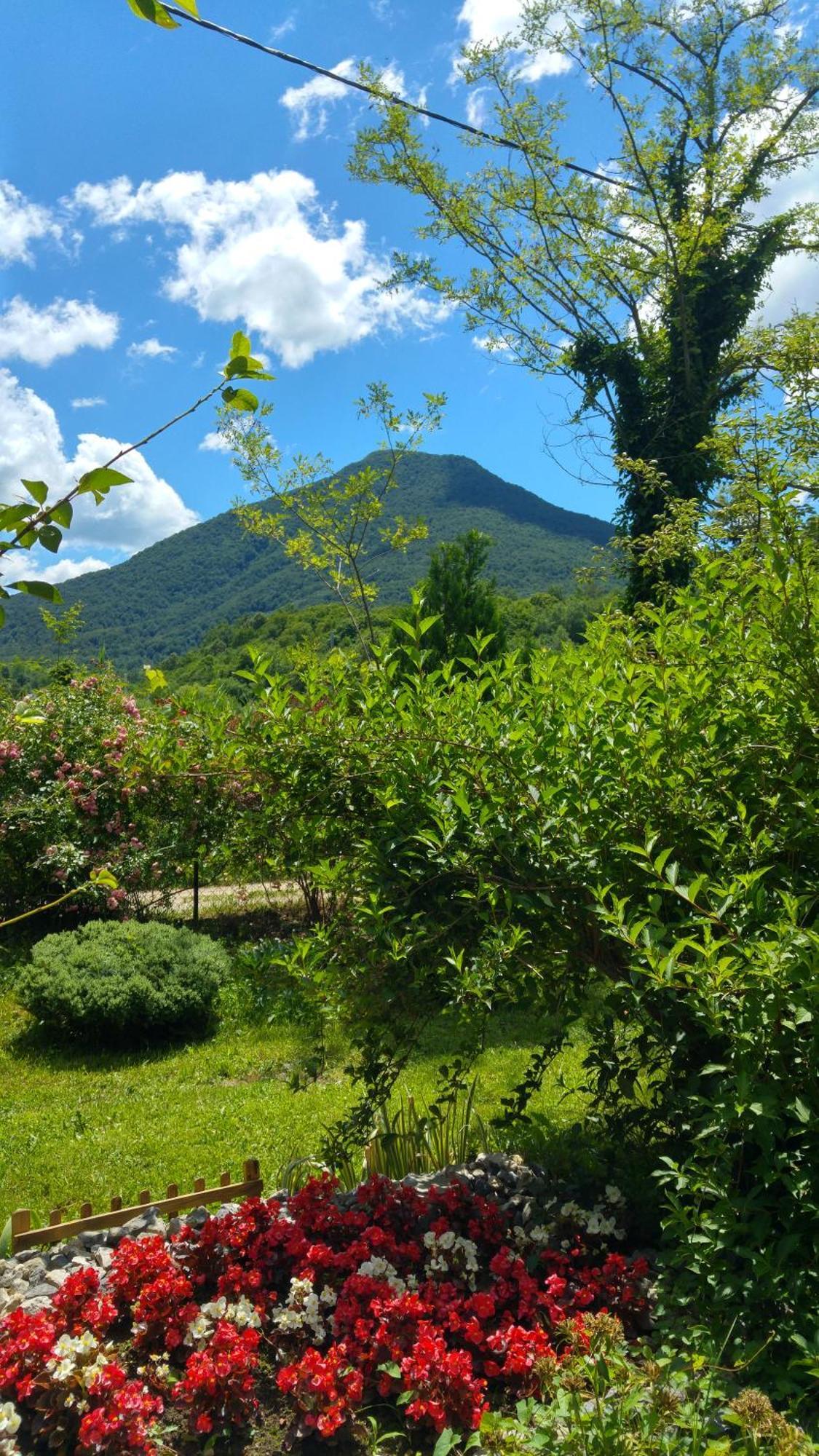 Fortuna Holiday Home Bihać エクステリア 写真